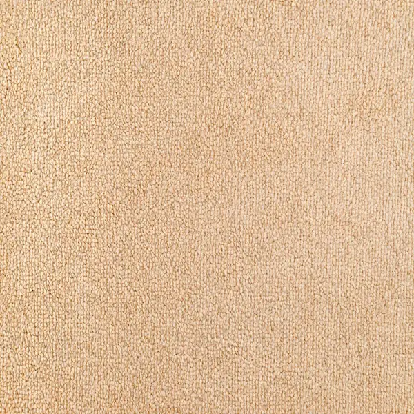 Neutral beige short shag carpet