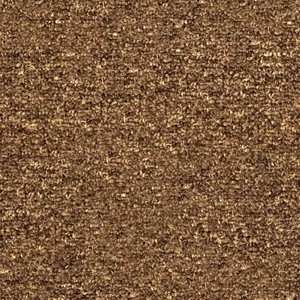 Brown textured loop pile carpet.