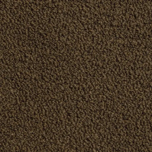 Dark brown textured wool carpet pile
